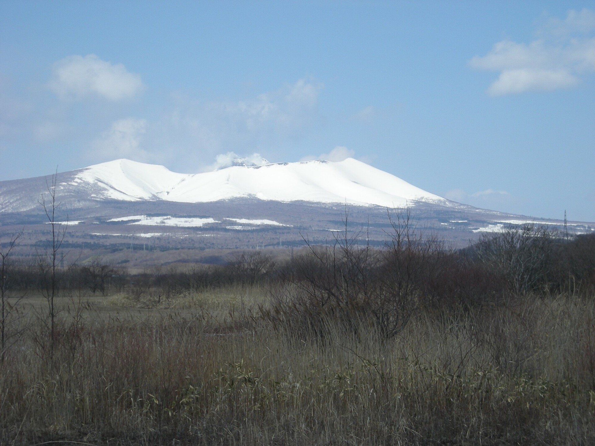 雪をかぶった樽前山と枯れ草の原